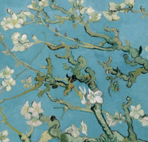 Mozart und seine Zeitgenossen